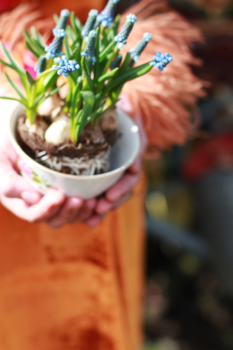 Gypsy caravans styled shoot 