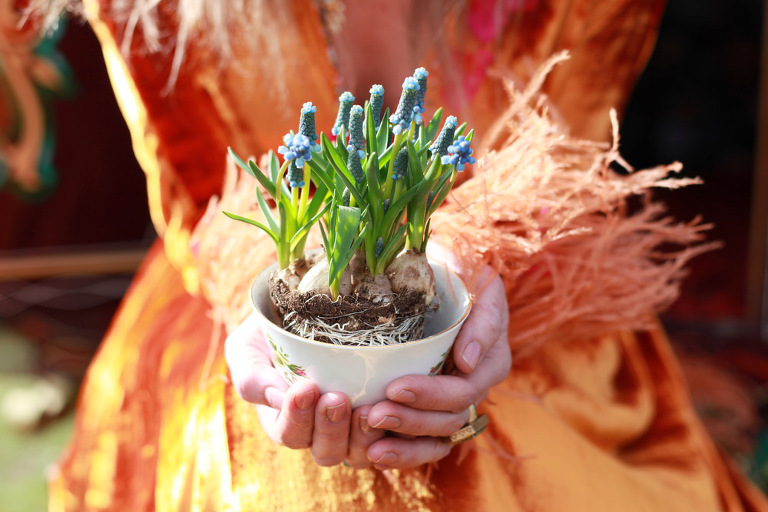 Gypsy caravans styled shoot 