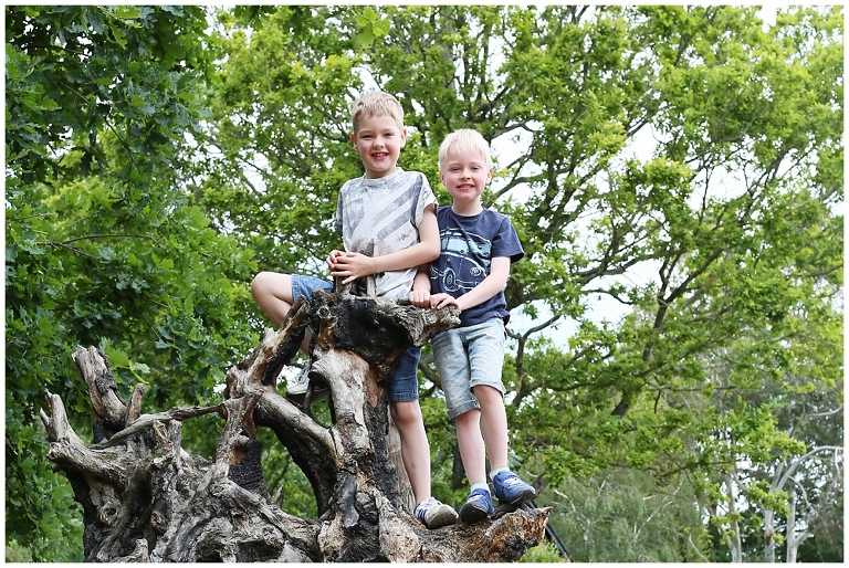 family photography dorset and hampshire_1230