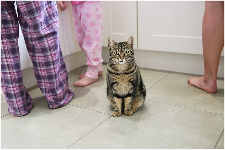 Dorset & Hampshire portrait Photographer_1750